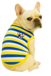 KUTKUT Velvet Fleece Dog Shirt|Stripes Pattern Button Closure Warm Sweatshirt for Small Dogs Cats Boy Girl|Winter Pullover Clothes for Puppy French Bulldog, Pug etc.